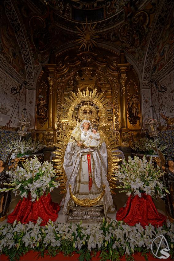 fjmontiel_BM_Virgen_de_la_Luz_San_Esteban_2025_DSC_3496_DxO