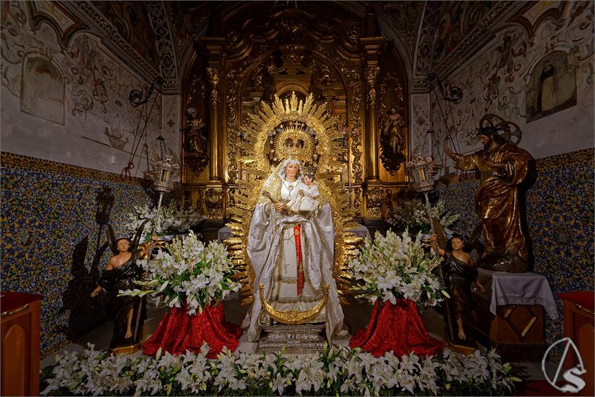 fjmontiel_BM_Virgen_de_la_Luz_San_Esteban_2025_DSC_3497_DxO