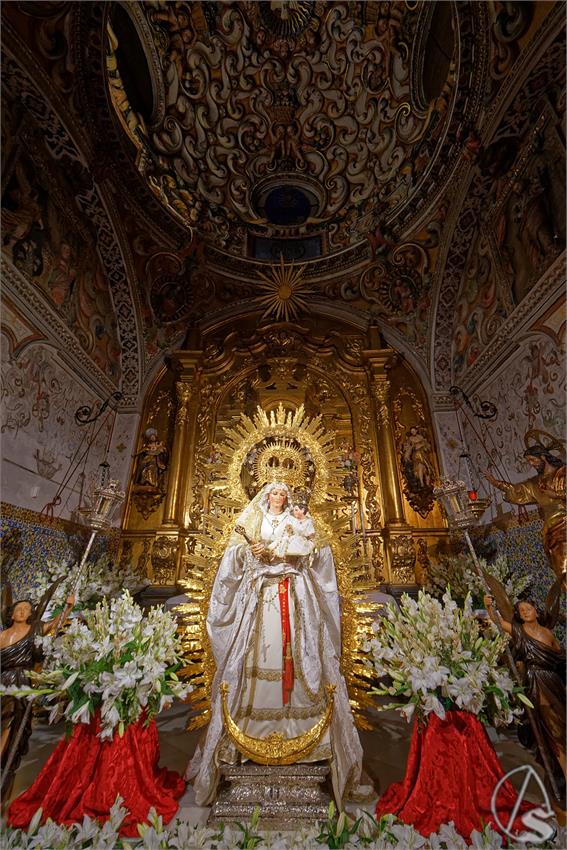 fjmontiel_BM_Virgen_de_la_Luz_San_Esteban_2025_DSC_3498_DxO