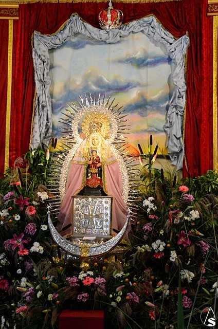 besamanos juncal
