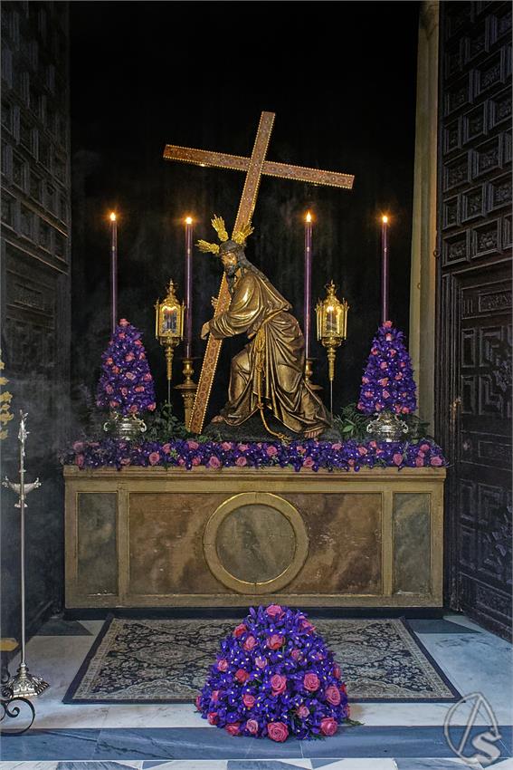 fjmontiel_BP_Corona_2026_DSC_2658_DxO