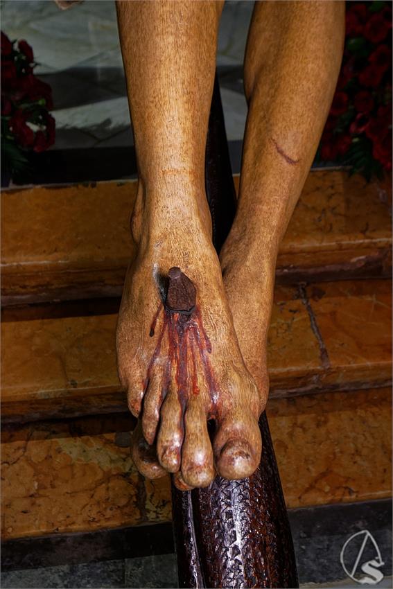 fjmontiel_BP_Cristo_de_Burgos_2025_DSC_4921_DxO