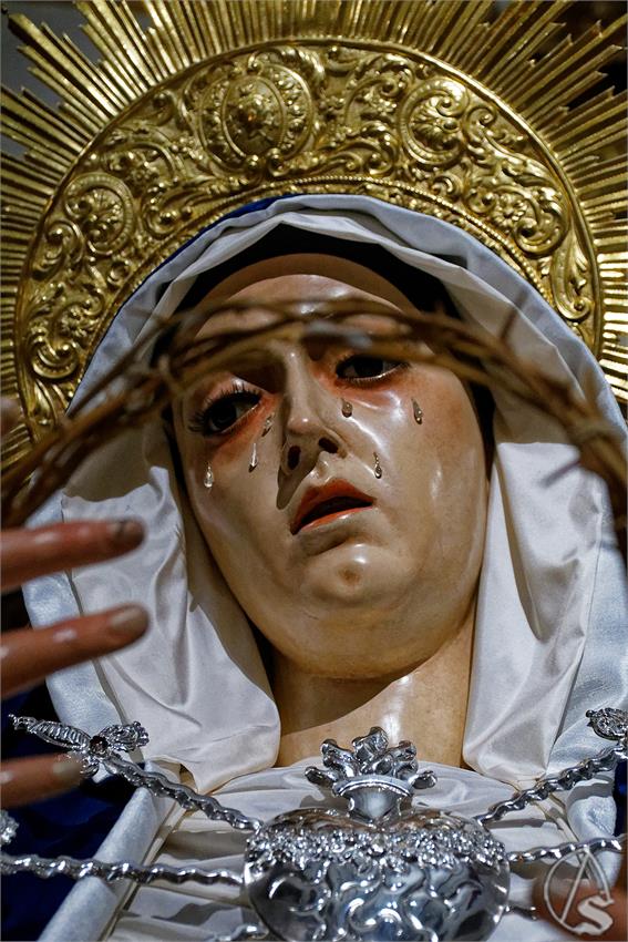 fjmontiel_BP_Providencia_Servitas_2024_DSC_7904_DxO