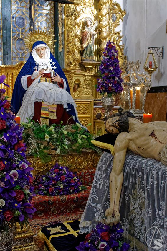 fjmontiel_BP_Providencia_Servitas_2024_DSC_7913_DxO