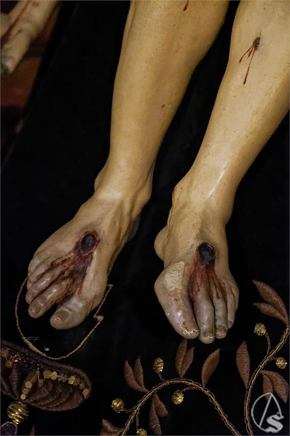 fjmontiel_BP_Providencia_Servitas_2026_DSC_0728_DxO