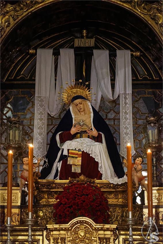 fjmontiel_BP_Providencia_Servitas_2026_DSC_0732_DxO