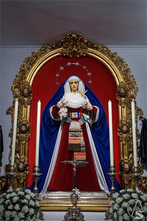 fjmontiel_BP_Providencia_Servitas_2026_DSC_0733_DxO