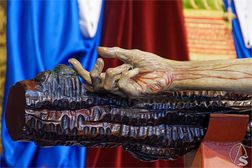 fjmontiel_BP_Salud_Montesion_2026_DSC_1636_DxO