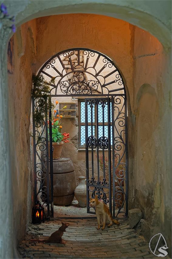 fjmontiel_Belen_Mercado_de_Triana_2025_DSC_8551_DxO