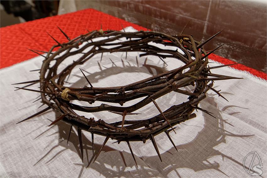 fjmontiel_Bendicion_Corona_de_Espinas_Exaltacion_2025_DSC_4440_DxO