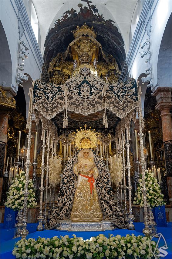 fjmontiel_Besamanos_Candelaria_2025_DSC_0735_DxO