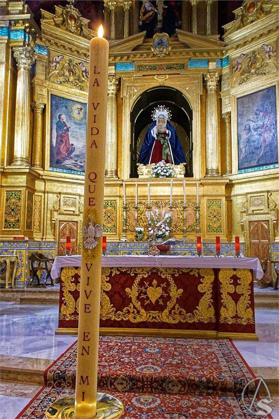 fjmontiel_Cirio_Donantes_Cerro_del_Aguila_2024_DSC_0571_DxO