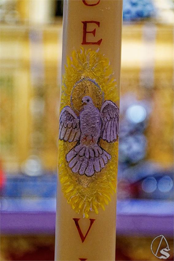 fjmontiel_Cirio_Donantes_Cerro_del_Aguila_2024_DSC_0572_DxO