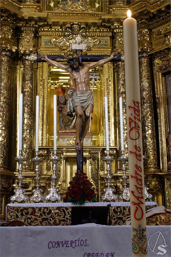 fjmontiel_Cirio_Donantes_Cristo_de_Burgos_2024_DSC_1329_DxO