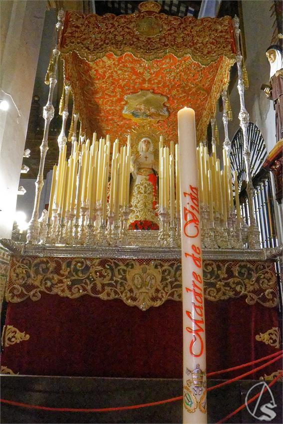 fjmontiel_Cirio_Donantes_Cristo_de_Burgos_2025_DSC_4396_DxO