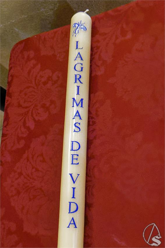 fjmontiel_Cirio_Donantes_Gitanos_2026_DSC_5824_DxO