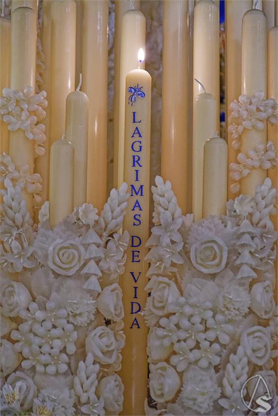 fjmontiel_Cirio_Donantes_Gitanos_2026_DSC_5879_DxO