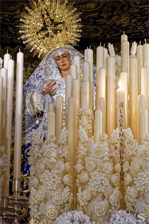 fjmontiel_Cirio_Donantes_Los_Gitanos_2025_DSC_5534_DxO