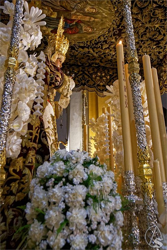 fjmontiel_Cirio_Donantes_San_Bernardo_2026_DSC_5908_DxO