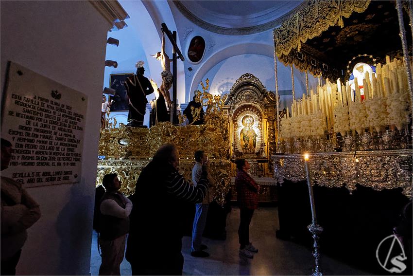fjmontiel_Cirio_Las_Aguas_2024_DSC_1184_DxO
