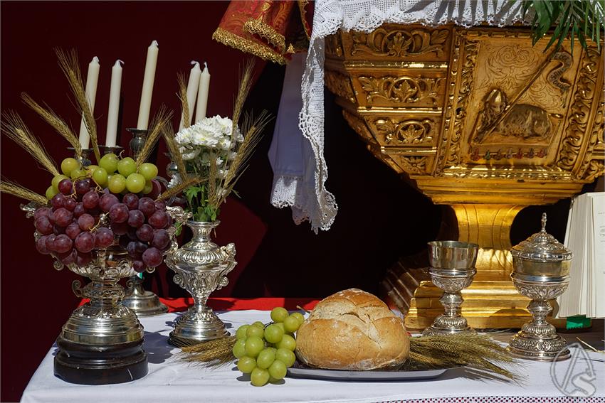 fjmontiel_Corpus_La_Sed_Nervion_2026_DSC_0825_DxO