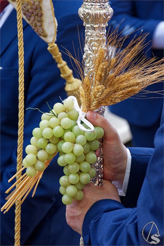 fjmontiel_Corpus_San_Gonzalo_2024_DSC_6346_DxO