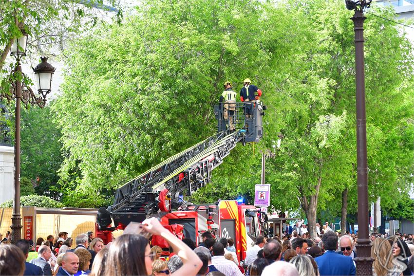 fjmontiel_D_Ramos_Apeo_Ramas_Arbol_2025_DSC_6478.JPG