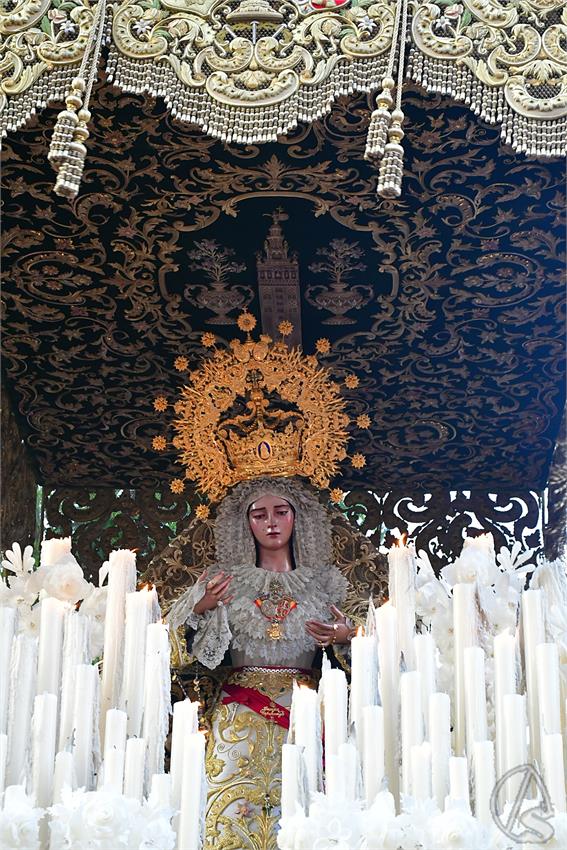 fjmontiel_D_Ramos_San_Roque_2025_DSC_6707.JPG