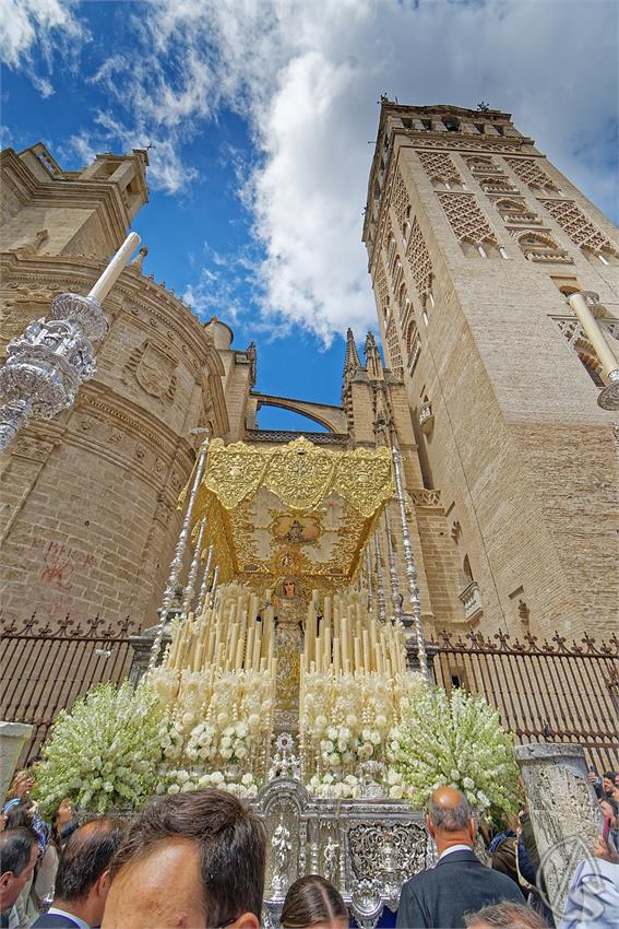 fjmontiel_Domingo_de_Resurreccion_2025_DSC_9059_DxO