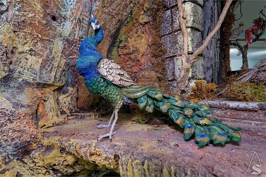 fjmontiel_EXP_De_Napoles_a_Sevilla_Museo_Santo_Angel_2025_DSC_8677_DxO