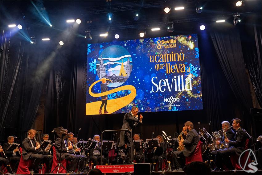 fjmontiel_Encendido_Alumbrado_2025_DSC_7544_DxO