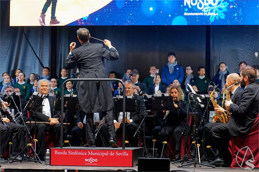 fjmontiel_Encendido_Alumbrado_2025_DSC_7552_DxO