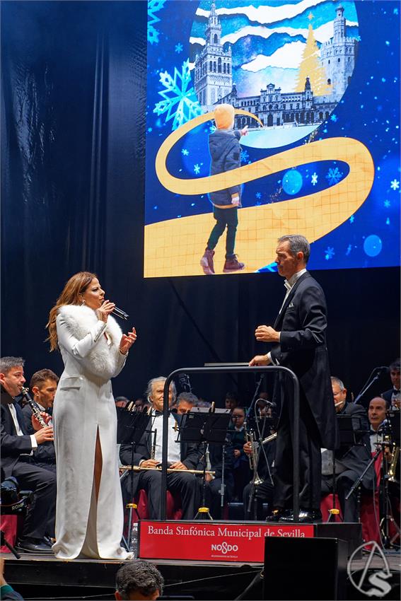 fjmontiel_Encendido_Alumbrado_2025_DSC_7578_DxO