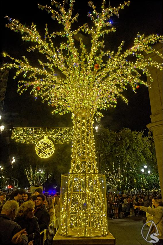 fjmontiel_Encendido_Alumbrado_2025_DSC_7697_DxO