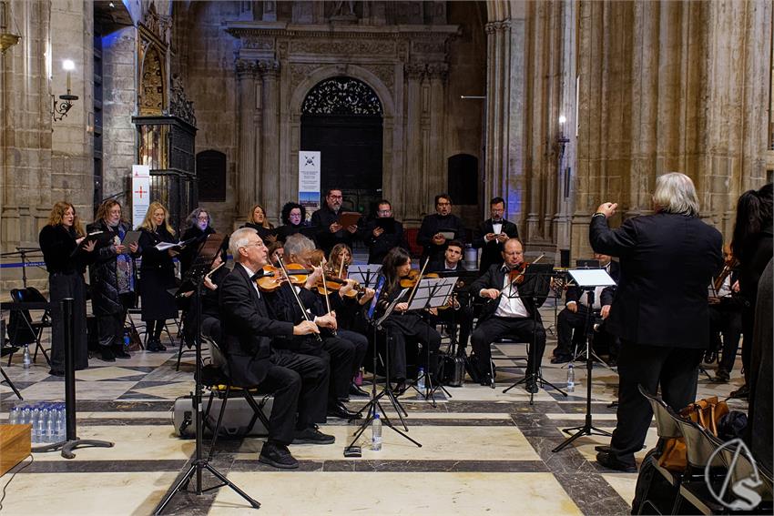 fjmontiel_Funcion_Baratillo_Trascoro_Catedral_Baratillo_2026_DSC_1771_DxO