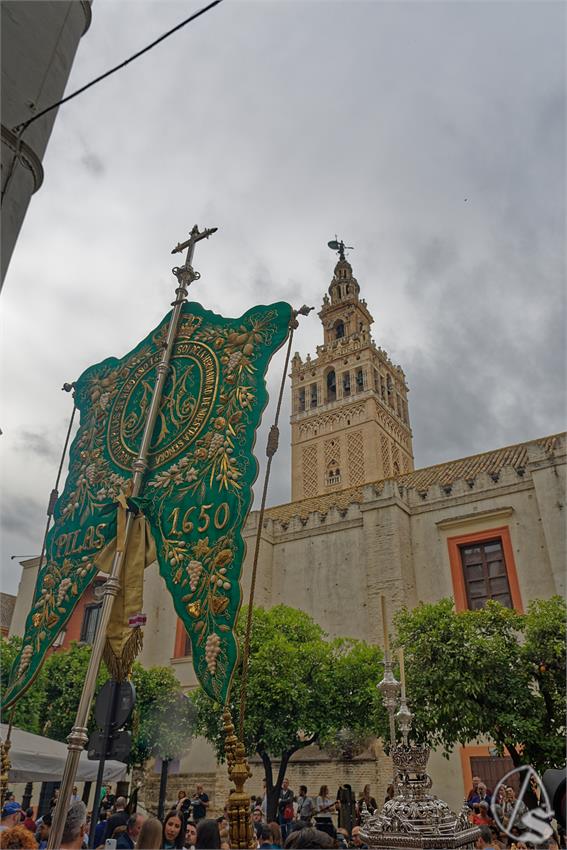 fjmontiel_Hdad_Rocio_Pilas_375_Aniv_2026_DSC_9620_DxO