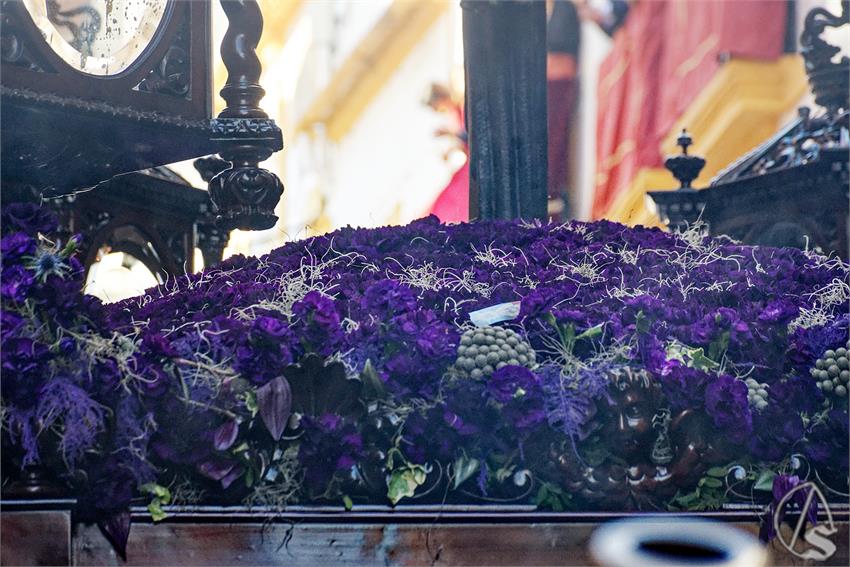 fjmontiel_JS_Negritos_2026_DSC_7572_DxO