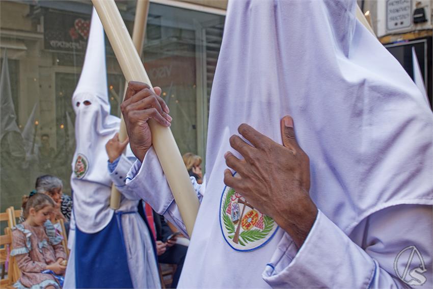 fjmontiel_JS_Negritos_2026_DSC_7590_DxO