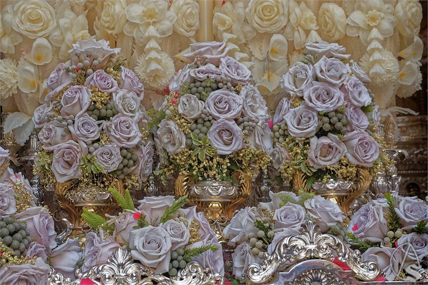 fjmontiel_JS_Negritos_2026_DSC_7610_DxO