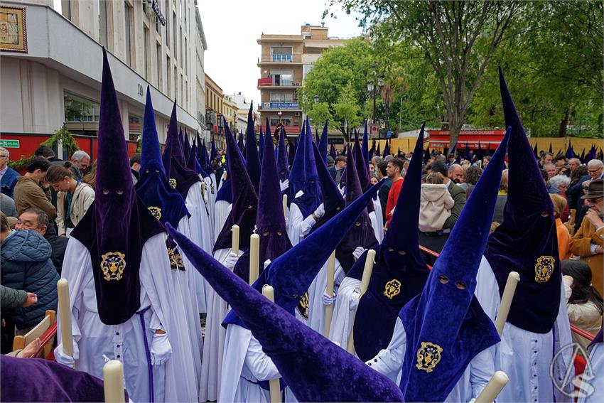 fjmontiel_Martes_San_Benito_2025_DSC_7313_DxO