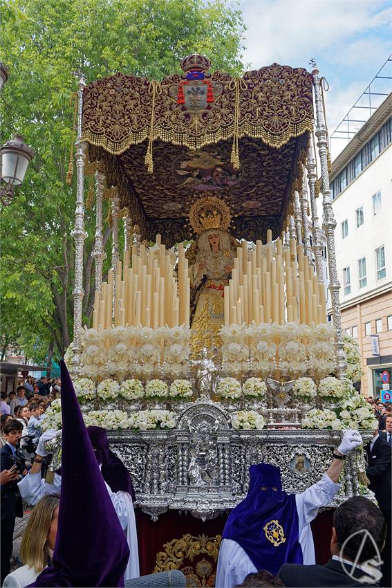 fjmontiel_Martes_San_Benito_2025_DSC_7358_DxO_1