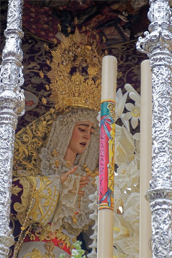 fjmontiel_Martes_San_Benito_2025_DSC_7372_DxO