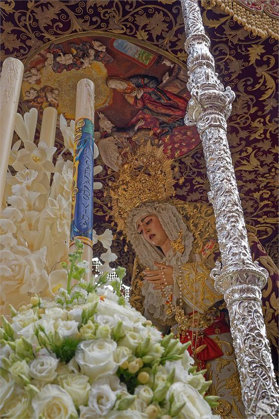 fjmontiel_Martes_San_Benito_2025_DSC_7378_DxO