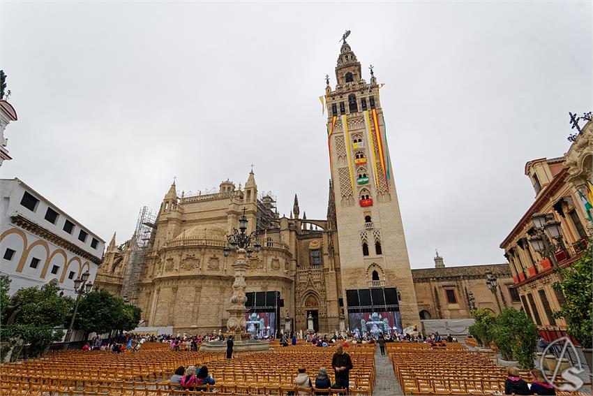 fjmontiel_Misa_Beatificacion_Jose_Torres_Padilla_2024_DSC_4642_DxO