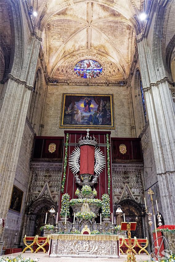 fjmontiel_Misa_Beatificacion_Jose_Torres_Padilla_2024_DSC_4653_DxO