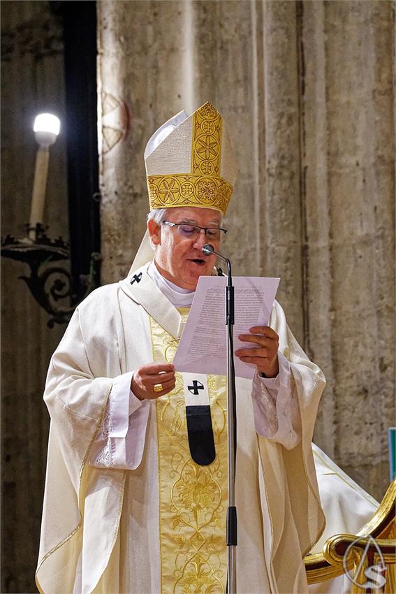 fjmontiel_Misa_Beatificacion_Jose_Torres_Padilla_2024_DSC_4883_DxO