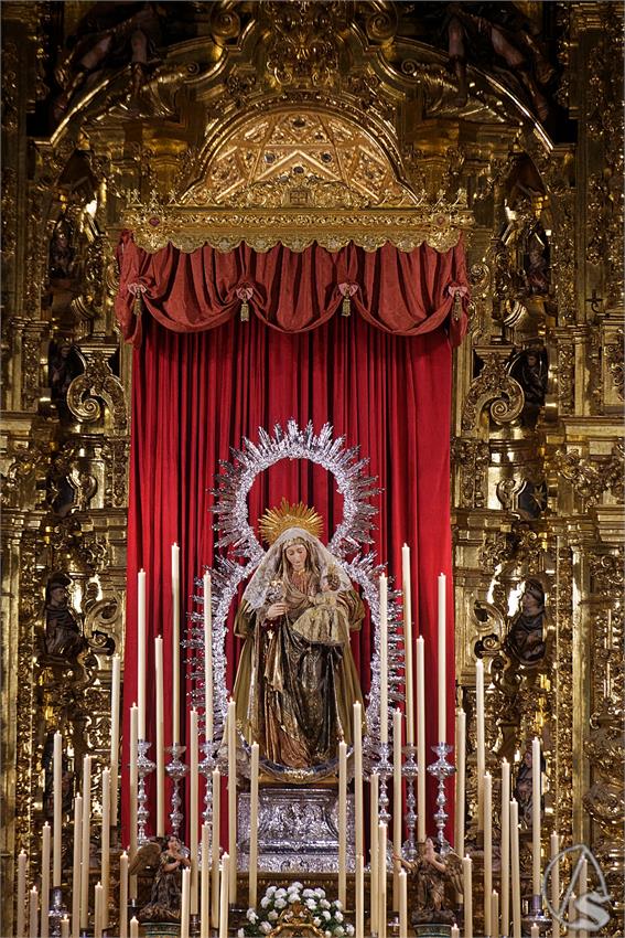fjmontiel_NV_Amparo_2026_DSC_4756_DxO