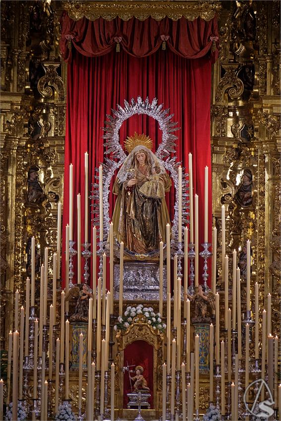 fjmontiel_NV_Amparo_2026_DSC_4757_DxO