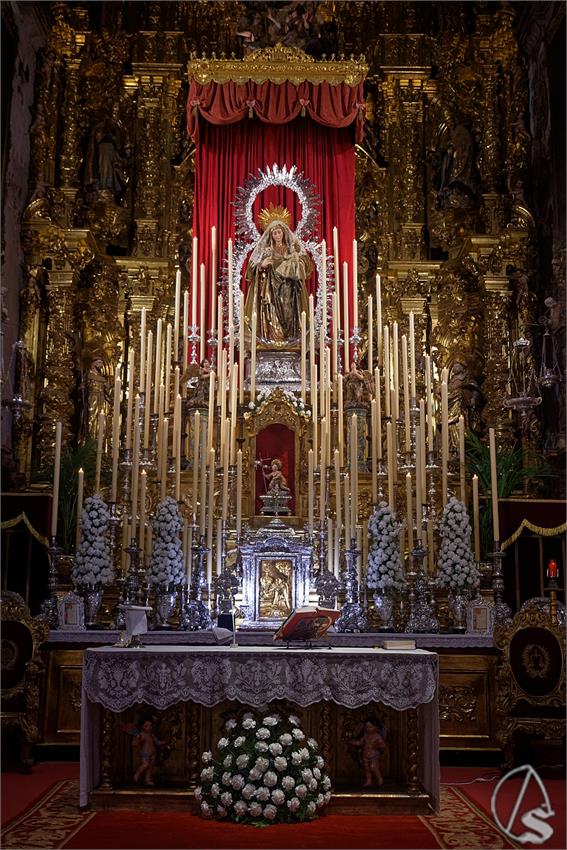 fjmontiel_NV_Amparo_2026_DSC_4761_DxO