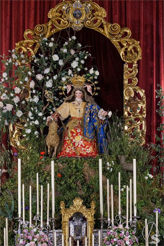 fjmontiel_NV_Divina_Pastora_Capuchinos_2026_DSC_0085_DxO